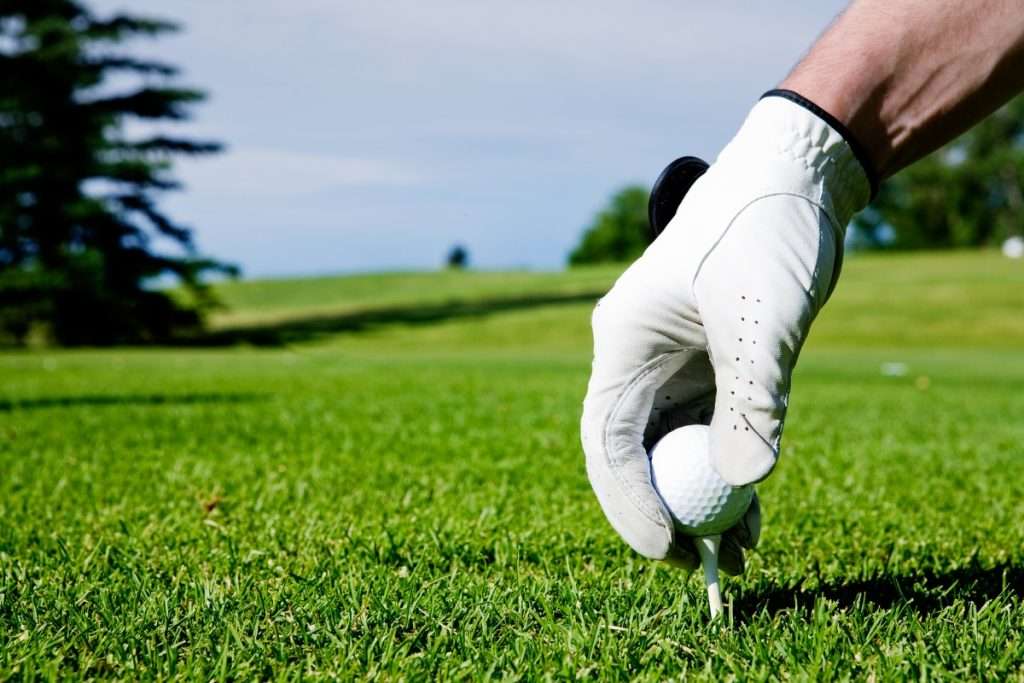 holiday gifts for golfers - tees and gloves