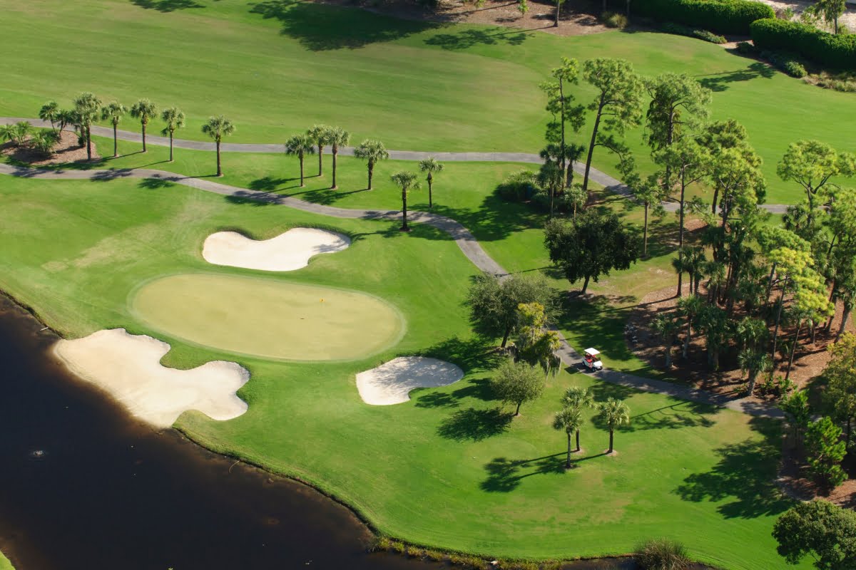 An aerial view of an expertly executed golf course design showcases sand bunkers surrounding the green, trees scattered around, a path for golf carts, and a water hazard to the left.