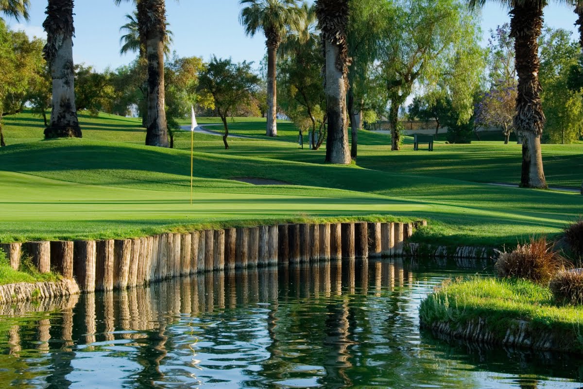 A golf course with lush green grass, expertly crafted through meticulous golf course design, features palm trees and a still water hazard in front of the putting green. A flagstick is visible on the green.