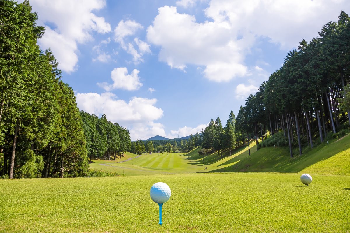 A golf course with a scenic background featuring a blue tee and golf ball in the foreground, surrounded by trees under a partly cloudy sky, highlights exceptional golf course design.