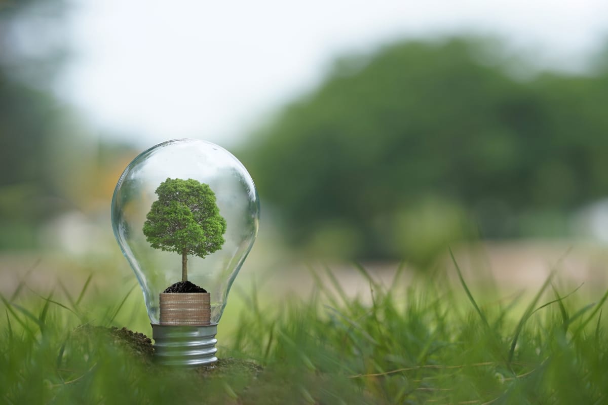 A tree flourishing inside a light bulb set on lush grass represents the harmony of sustainable golf courses, embodying environmental conservation.