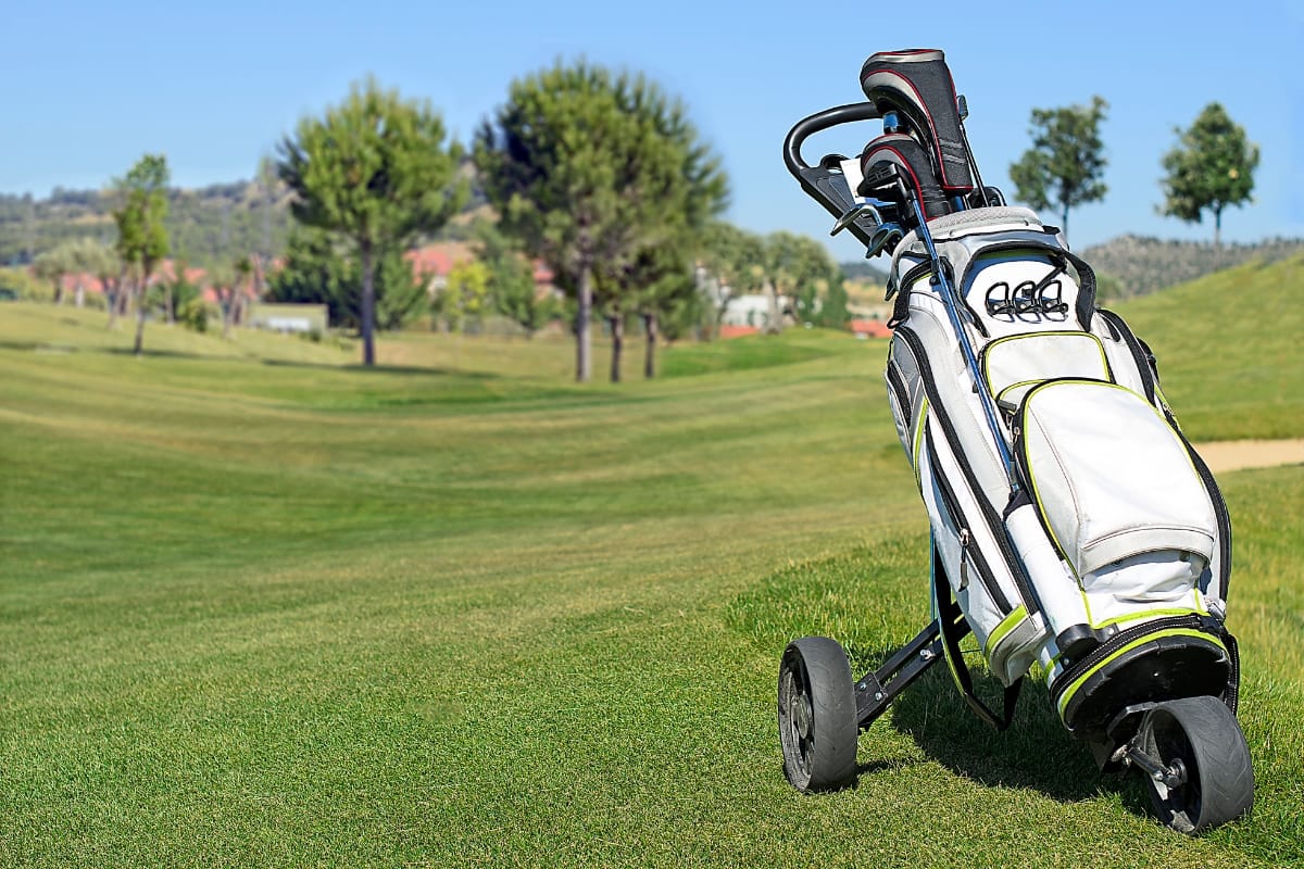 A golf bag filled with essential golf accessories sits on a pushcart on the grass of a golf course, framed by trees and a clear blue sky.